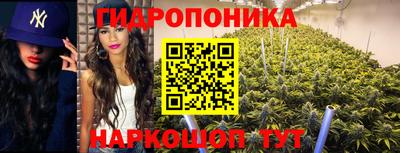 мдпв Малоярославец