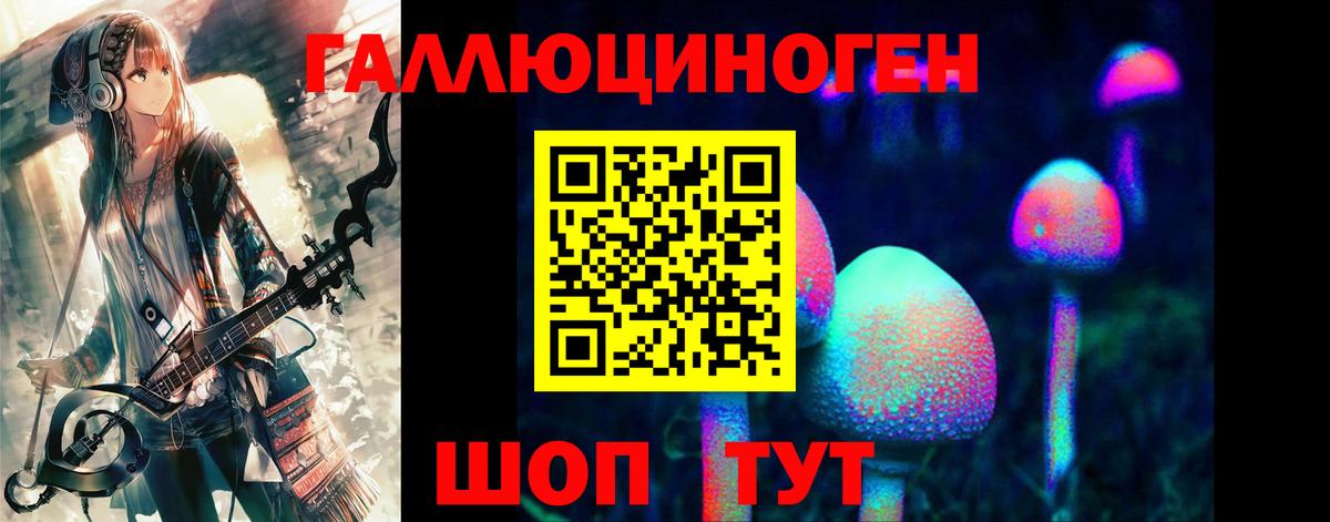 как найти   Галлюциногенные грибы мухоморы  Вход с VPN  Галлюциногенные грибы Psilocybine cubensis  Южно-Сахалинск 